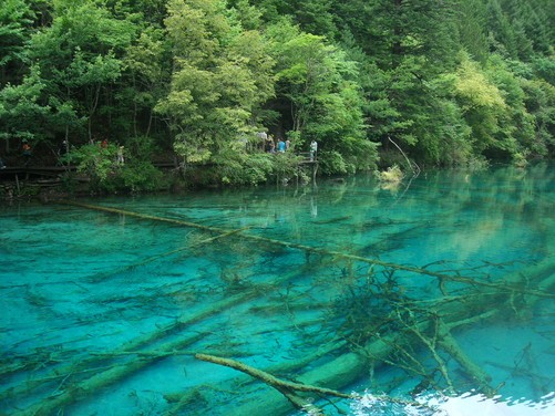 九寨歸來不看水 人間仙境的自然與人文之旅